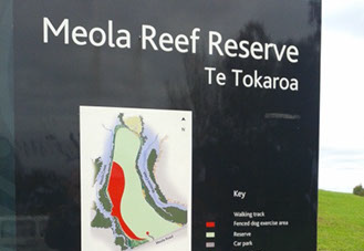 meola-reef-crop-u10007